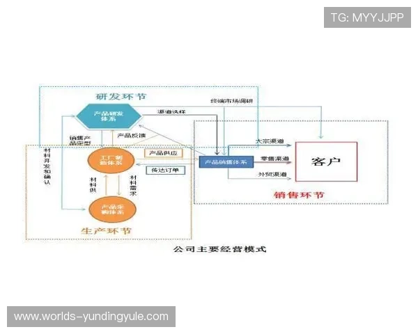 云顶集团中国子公司管理模式与运营效率提升路径研究