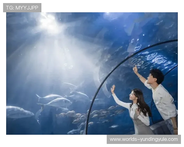 云顶官网投注常见问题解答,解决新手玩家的疑虑与操作难题